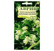 Цветы Клематис Винограднолистный (РО)