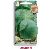 Капуста Экстра (Поиск)