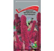 Цветы Амарант Ред Кафедрал (Поиск)