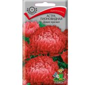 Цветы Астра Дюшес красная (Поиск)
