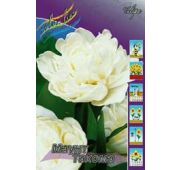 Тюльпан Маунт Такома (махр.поздн) 1 шт.