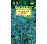 Цветы Синеголовник Альпийское небо (Гавриш)
