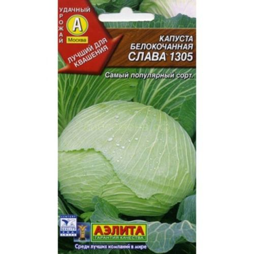 Капуста Слава 1305 (Аэлита)