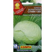 Капуста Слава 1305 (Аэлита)
