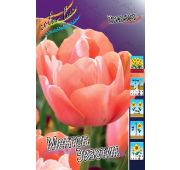 Тюльпан Ментон Экзотик (махр.поздн) 1 шт.