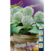 Лук декор Айвори Куин 1 шт.
