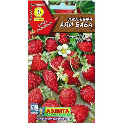 Земляника Али-Баба (Аэлита)