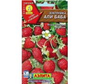 Земляника Али-Баба (Аэлита)