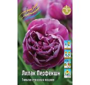 Тюльпан Лилак Перфекшн (махр.поздн) 1шт.