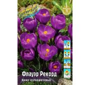 Крокус Флауэр Рекорд 1 шт.