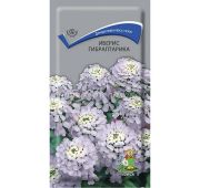 Цветы Иберис Гибралтарика (Поиск)