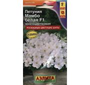 Цветы Петуния Мамбо белая ( Азлита)
