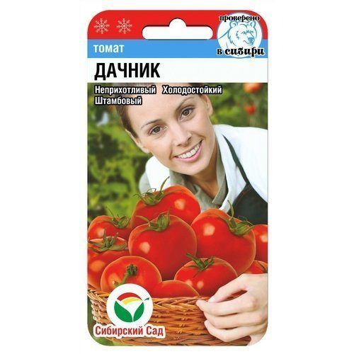 Томат Дачник (СС)