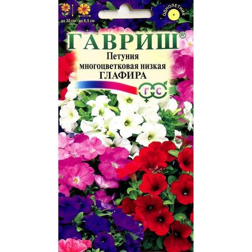 Петуния цветы фото семена Петуния цветы фото семена