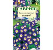 Цветы Вьюнок трехцветный голубой (Гавриш)