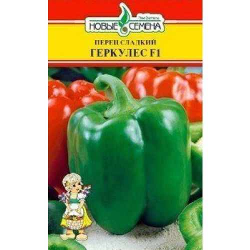 Перец геркулес фото Перец геркулес фото