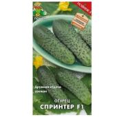 Огурец Спринтер F1 (Поиск)