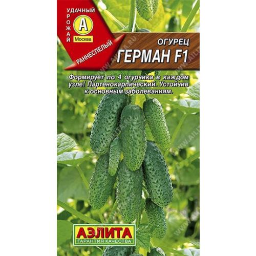 Огурец Герман (Аэлита)