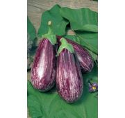 Баклажан Египетская Сила (УД)