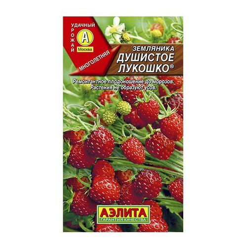 Земляника Душистое Лукошко (Аэлита)