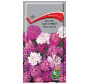 Цветы Иберис Зонтичный Смесь (Поиск)