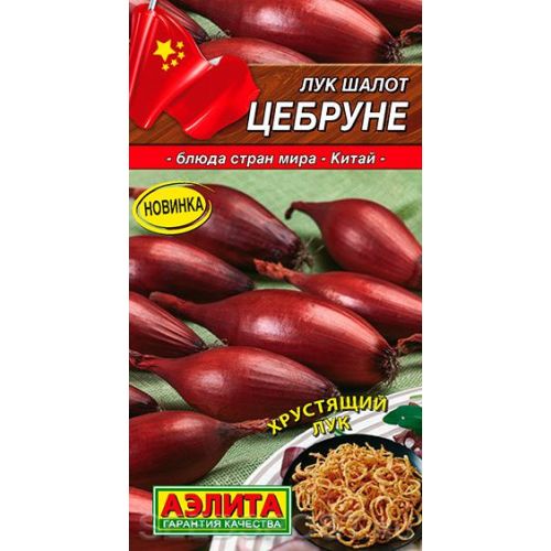 Лук Шалот Цебруне (Аэлита)