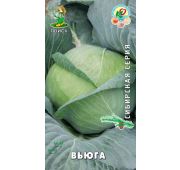 Капуста Вьюга (Поиск)