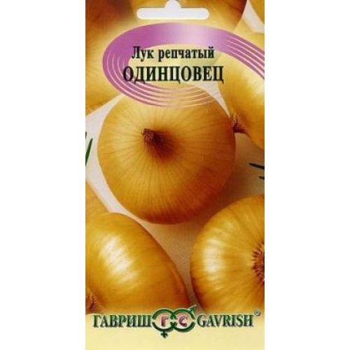 Лук одинцовец описание сорта фото Лук одинцовец описание сорта фото