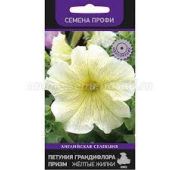 Цветы Петуния Призм Желтые жилки (Поиск)