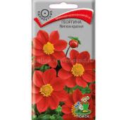 Цветы Георгина Мигном красная (Поиск)