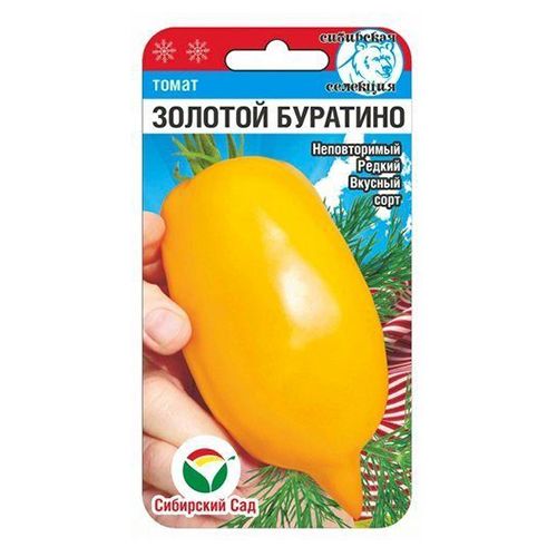 Томат Золотой Буратино (СС) - купить в городе Новосибирск, цена, фото - Семена У