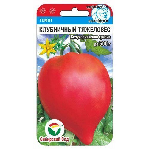 Томаты семен безголовый описание сорта фото отзывы Томаты семен безголовый описание сорта фото отзывы