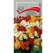 Цветы Немезия Победная песнь (Поиск)