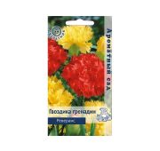 Цветы Гвоздика Гренадин Реверанс (Поиск)