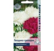 Цветы Гвоздика Комплимент (Поиск)