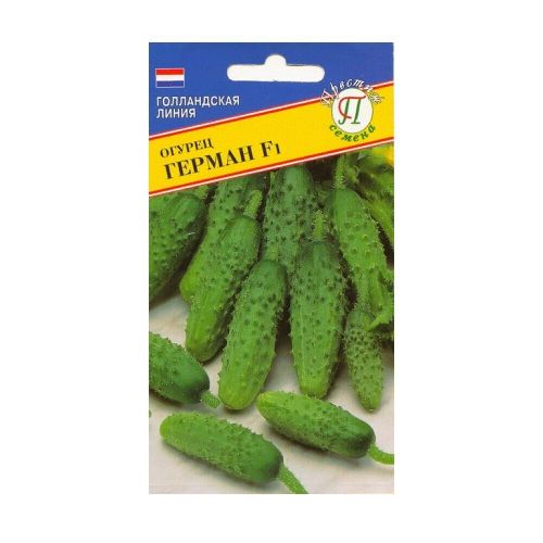 Огурец Герман (Престиж)