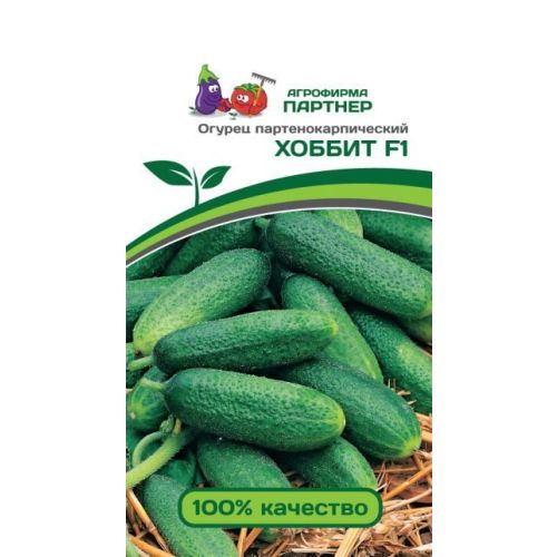 Огурец хоббит фото Огурец хоббит фото