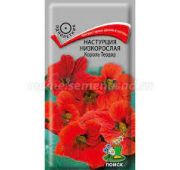 Цветы Настурция Король Теодор (Поиск)