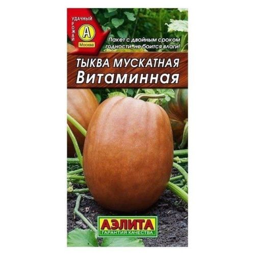 Тыква Витаминная (Аэлита)