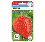 Земляника Женева (СС)