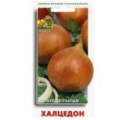 Лук репчатый Халцедон (Поиск)