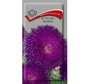 Цветы Астра Игл Синдерелла (Поиск)