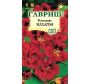 Цветы Настурция Махагон (Гавриш)