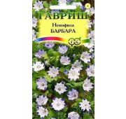 Цветы Немофила Барбара (Гавриш)