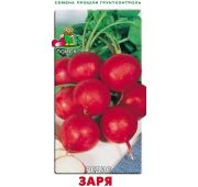 Редис Заря (Поиск)