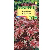 Цветы Клещевина Остров красный (Гавриш)
