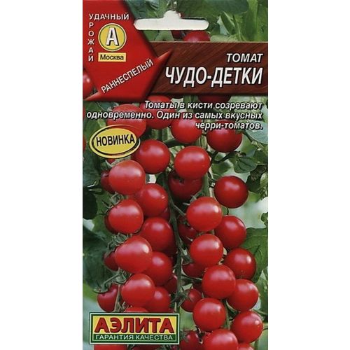 Помидор чудо фото Помидор чудо фото