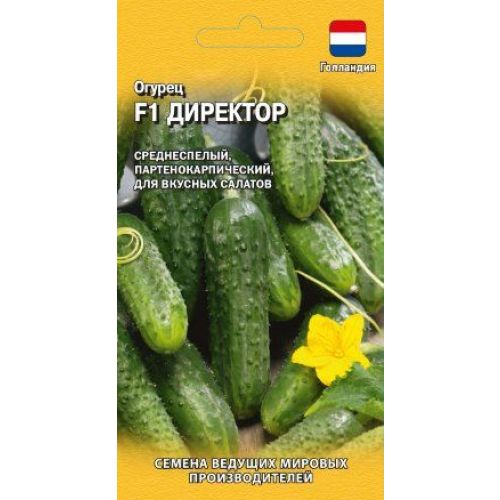 Огурец Директор (Гавриш)