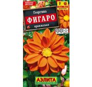 Цветы Георгина Фигаро оранж. махр.(Аэлита)