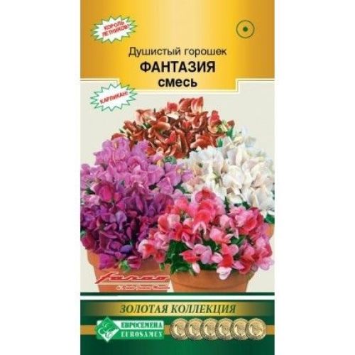 Цветы Горошек душистый Фантазия (ЕСМ)
